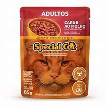 sache special cat saber carne adulto