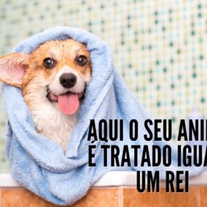 Banho e Tosa