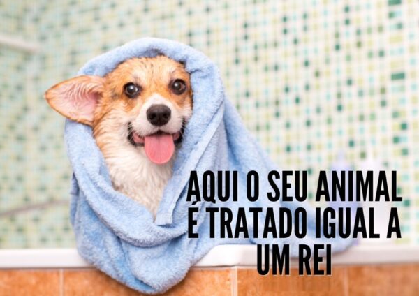 Banho e Tosa